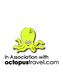 octopus